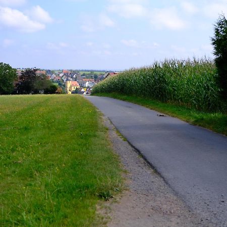Ferienwohnung Friedrich Michelstadt Ngoại thất bức ảnh