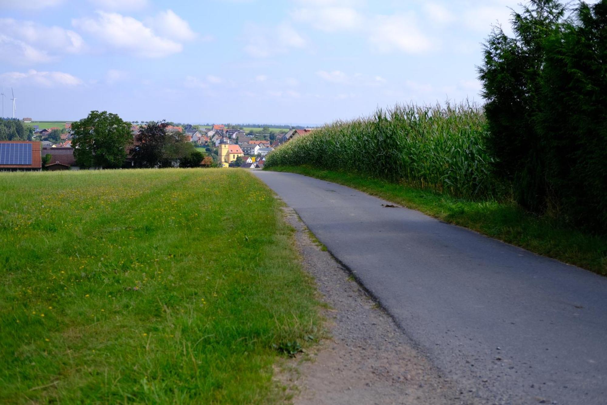 Ferienwohnung Friedrich Michelstadt Ngoại thất bức ảnh